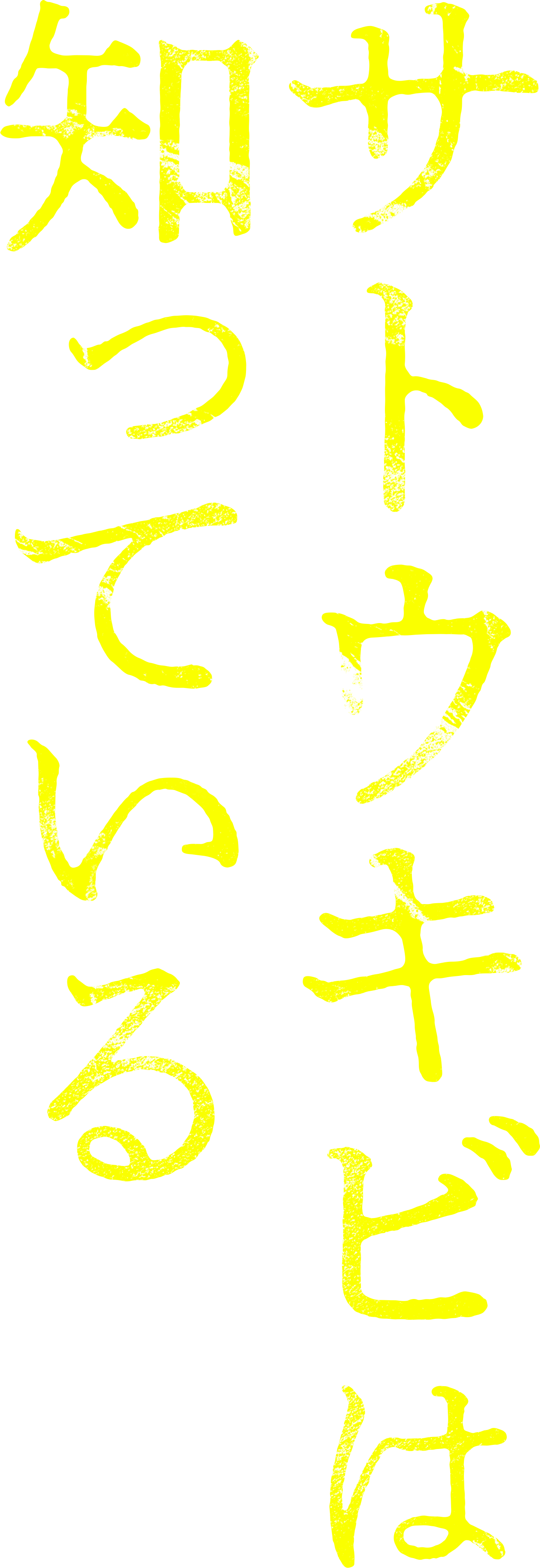 サトウキビは知っている